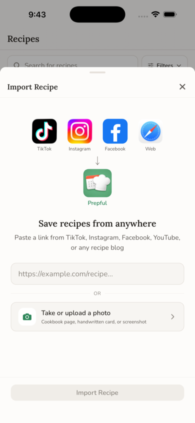 Import Recipe screen showing TikTok, Instagram, and Web icons with a URL input field